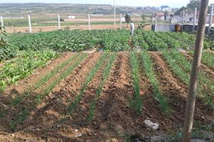 Stories in the Golden Autumn Ecological Park